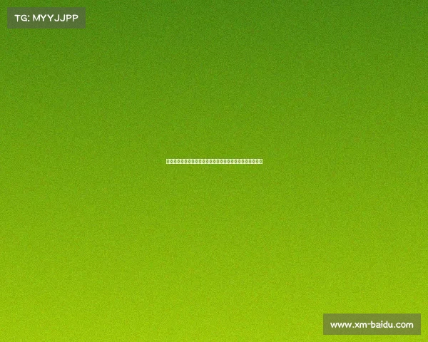 库里：美国男篮空间布局已成优势，但流畅配合仍是提升关键