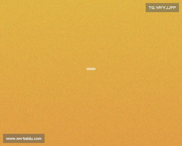 新援首秀闪耀 新援首秀闪耀